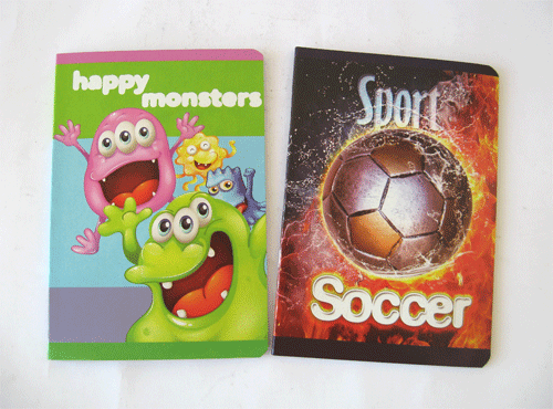 Sveska A5 MP 48L linija