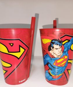 Pvc casa sa slamkom superm.