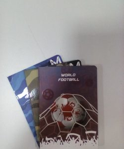 SVESKA A5 MP LINIJA LUX 56L